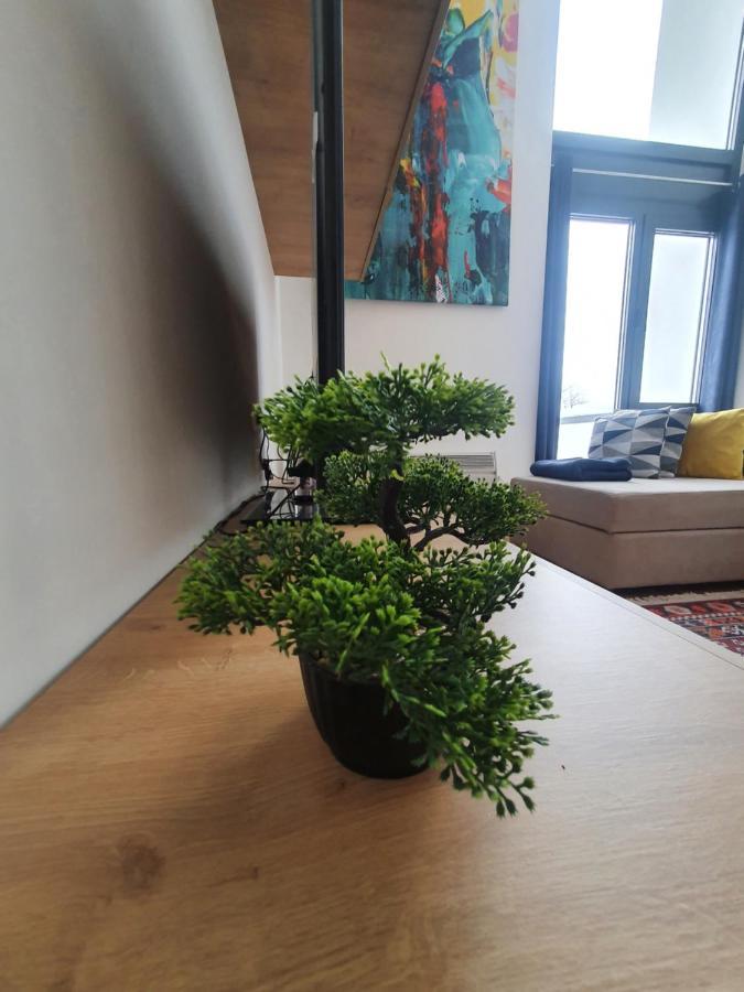 Bjelasnica Tuzlaks Apartment -Sauna-Free Parking Eksteriør bilde
